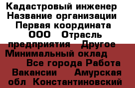 Кадастровый инженер › Название организации ­ Первая координата, ООО › Отрасль предприятия ­ Другое › Минимальный оклад ­ 20 000 - Все города Работа » Вакансии   . Амурская обл.,Константиновский р-н